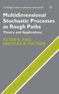 Multidimensional Stochastic Processes as Rough Paths di Peter K. Friz edito da Cambridge University Press
