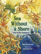Sea Without a Shore di Barb Rosenstock edito da Norton Young Readers