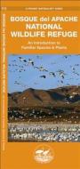 Bosque del Apache National Wildlife Refuge: A Folding Pocket Guide to Familiar Species & Plants di James Kavanagh, J. M. Kavanagh edito da Waterford Press