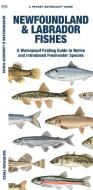 Newfoundland & Labrador Fishes: A Waterproof Folding Guide to Familiar Species di Waterford Press, Matthew Morris edito da WATERFORD PR