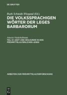 Arzt und Heilkunde in den frühmittelalterlichen Leges di Annette Niederhellmann edito da De Gruyter