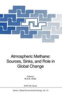 Atmospheric Methane: Sources, Sinks, and Role in Global Change edito da Springer Berlin Heidelberg