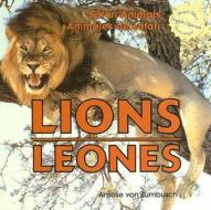 Lions/Leones di Amelie Von Zumbusch edito da Buenas Letras