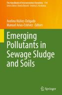 Emerging Pollutants in Sewage Sludge and Soils edito da Springer International Publishing