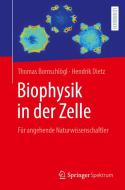 Biophysik in der Zelle di Thomas Bornschlögl, Hendrik Dietz edito da Springer-Verlag GmbH