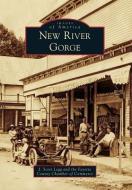 New River Gorge di J. Scott Legg, The Fayette County Chamber of Commerce edito da ARCADIA PUB (SC)