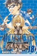 Black Cat, Vol. 18 di Kentaro Yabuki edito da Viz Media, Subs. of Shogakukan Inc