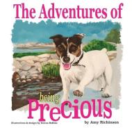 The Adventures Of Being Precious di RICHINSON AMY RICHINSON edito da 978-0-578-95610-7