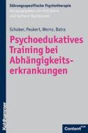 Psychoedukatives Training bei Abhängigkeitserkrankungen di Franziska Schober, Peter Peukert, Friederike Wernz, Anil Batra edito da Kohlhammer W.