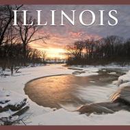 Illinois di Tanya Lloyd Kyi edito da WHITECAP AMER