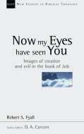 Now My Eyes Have Seen You: Justice, Mercy and Legal Institutions di Robert Fyall edito da INTER VARSITY PR
