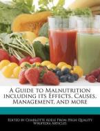 A Guide to Malnutrition Including Its Effects, Causes, Management, and More di Charlotte Adele edito da WEBSTER S DIGITAL SERV S