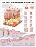 The Skin And Common Disorders Anatomical Chart edito da Anatomical Chart Co.