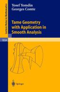 Tame Geometry with Application in Smooth Analysis di Georges Comte, Yosef Yomdin edito da Springer Berlin Heidelberg