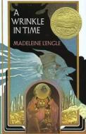 A Wrinkle in Time di Madeleine L'Engle edito da FARRAR STRAUSS & GIROUX