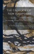 The Geology Of New Hampshire: (pt. 3-5) Surface Geology. Mineralogy And Lithology. Economic Geology di 1868-1878 edito da LEGARE STREET PR
