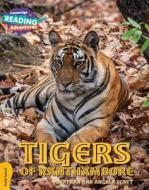 Tigers of Ranthambore Gold Band di Jonathan And Angela Scott edito da CAMBRIDGE