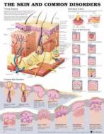 The Skin And Common Disorders Anatomical Chart di Acc, Anatomical Chart Company edito da Anatomical Chart Co.