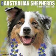 Australian Shepherds Calendar edito da Willow Creek Press