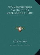 Sedimentbildung Am Heutigen Meeresboden (1901) di Paul Fischer edito da Kessinger Publishing