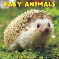 Baby Animals Calendar edito da Willow Creek Press