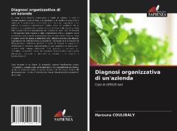 Diagnosi organizzativa di un'azienda di Harouna Coulibaly edito da Edizioni Sapienza