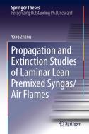 Propagation and Extinction Studies of Laminar Lean Premixed Syngas/Air Flames di Yang Zhang edito da Springer