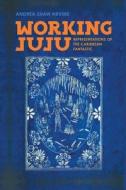 Working Juju: Representations of the Caribbean Fantastic di Andrea Shaw Nevins edito da UNIV OF GEORGIA PR