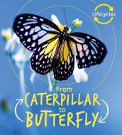 From Caterpillar to Butterfly di Camilla De La Bedoyere edito da QEB PUB QUARTO LIB