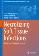 Necrotizing Soft Tissue Infections edito da Springer International Publishing
