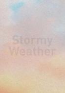 Stormy Weather di Katharina Brandl, Claire Hoffmann, Christoph Wachter, Mathias Jud edito da VfmK