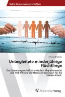 Unbegleitete minderjährige Flüchtlinge di Yvonne Brückner edito da AV Akademikerverlag