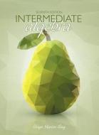 Interactive DVD Lecture Series for Intermediate Algebra di Elayn Martin-Gay edito da Pearson Education (US)