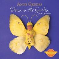 Anne Geddes Down In The Garden 2016 Wall di Anne Geddes edito da Browntrout Publishers Ltd