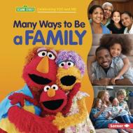 Many Ways to Be a Family di Christy Peterson edito da LERNER PUBN