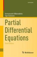 Partial Differential Equations di Ugo Gianazza, Emmanuele Dibenedetto edito da Springer International Publishing