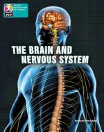 Pyp L10 Brain And Nervous System 6pk di Richard Spilsbury edito da Pearson Education Limited
