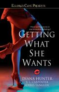 Getting What She Wants di Diana Hunter, S. L. Carpenter, Chris Tanglen edito da Gallery