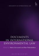 Documents in International Environmental Law edito da Bloomsbury Publishing PLC