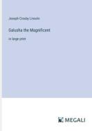 Galusha the Magnificent di Joseph Crosby Lincoln edito da Megali Verlag