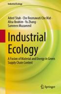 Industrial Ecology di Adeel Shah, Che Rosmawati Che Mat, Samreen Muzammil, Yu Zhang, Alisa Ibrahim edito da Springer Nature Singapore