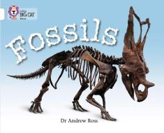 Fossils di Andrew Ross edito da HarperCollins Publishers