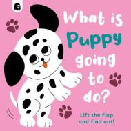 What Is Puppy Going To Do? di Carly Madden edito da Frances Lincoln Publishers Ltd