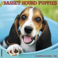 Basset Hound Puppies Calendar edito da Willow Creek Press