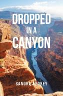 Dropped in a Canyon di Sandra Ardrey edito da AuthorHouse