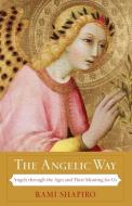 The Angelic Way: Angels Through the Ages and Their Meaning for Us di Rami Shapiro edito da BLUEBRIDGE