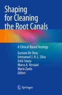 Shaping for Cleaning the Root Canals edito da Springer International Publishing