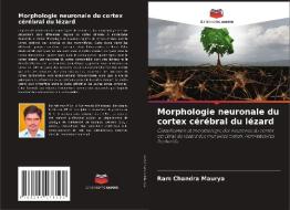 Morphologie neuronale du cortex cérébral du lézard di Ram Chandra Maurya edito da Editions Notre Savoir