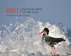 Bird Photographer Of The Year di Bird Photographer of the Year edito da Harpercollins Publishers