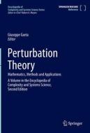 Perturbation Theory: Mathematics, Methods and Applications edito da SPRINGER NATURE